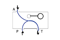 Schematic Flow path
