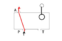 Schematic Flow path