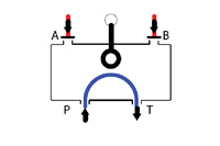 Schematic Flow path