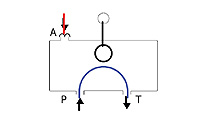 Schematic Flow path