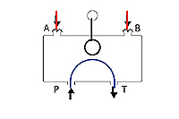 Schematic Flow path