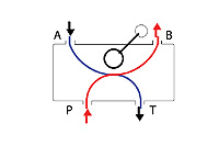 Schematic Flow path