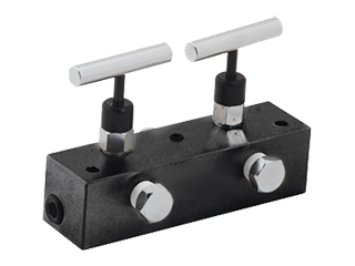 Manifold with Two Needle Valve MFC2