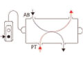 Schematic Flow Path